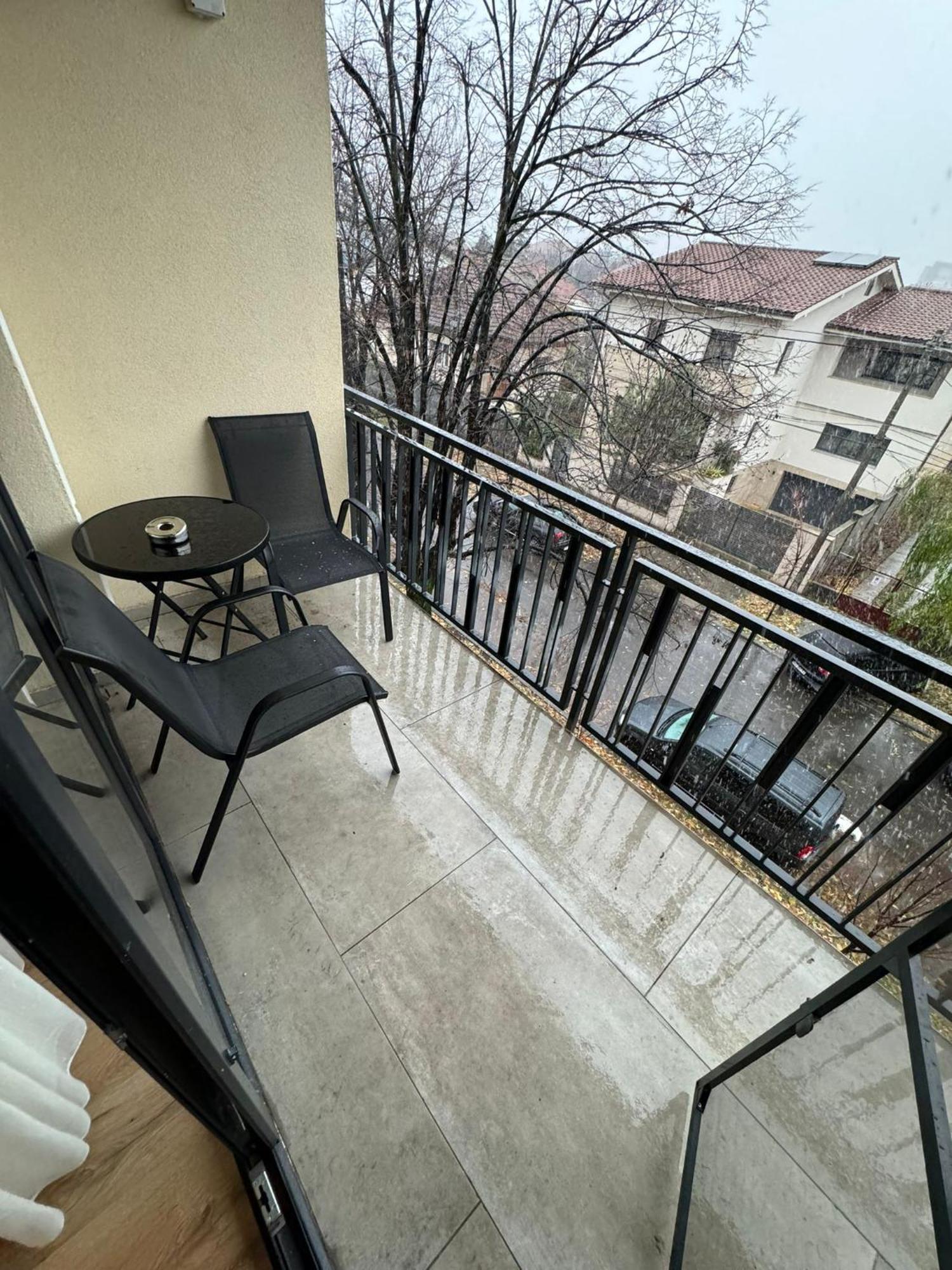 טימישוארה Glam Apartments Lipatti Near Iulius Mall And City Center מראה חיצוני תמונה